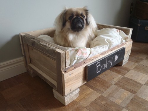 Dog Bed Pallet