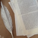 book-page-feathers
