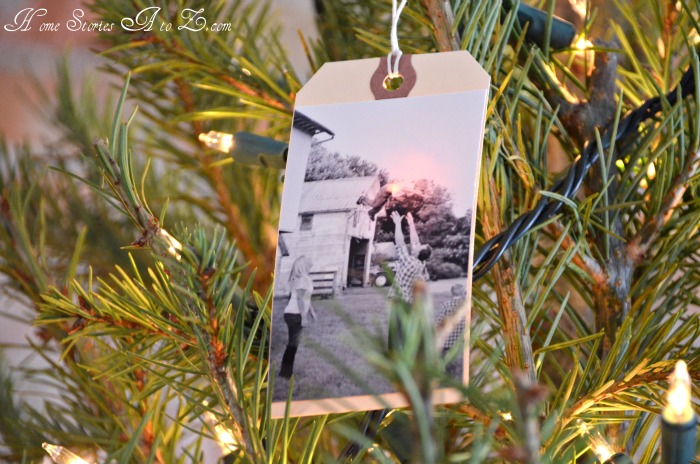 holiday craft, picture ornament