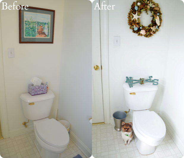toilet before after
