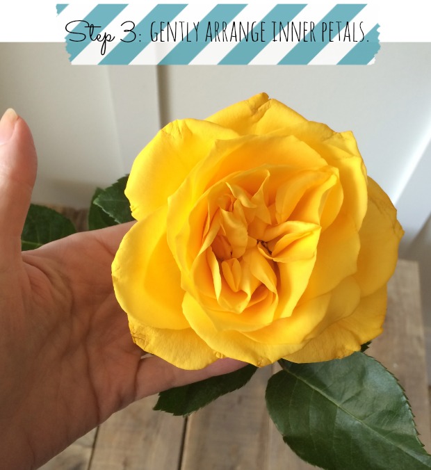 How to make a rose bloom faster