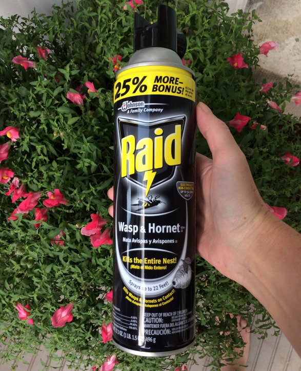 raid wasp & hornet