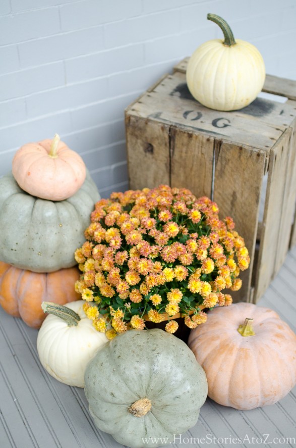 farmhouse pumpkins_