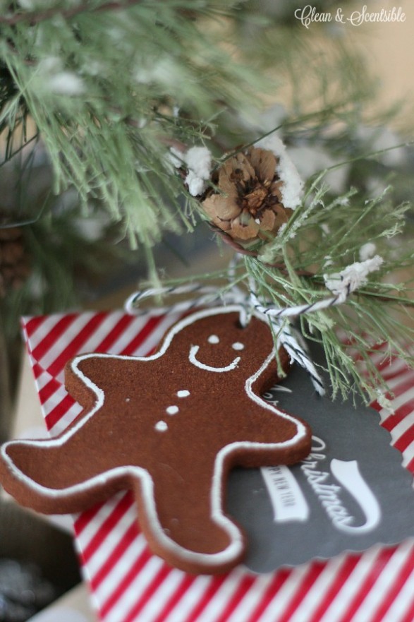 Cinnamon-Christmas-Ornaments-recipe