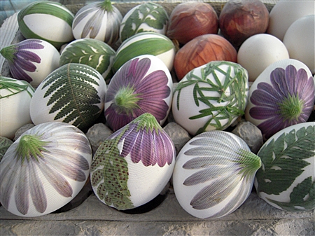 Herb Stenciled Easter Eggs
