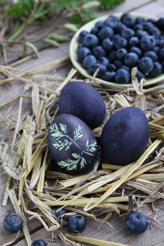 How to dye Easter eggs with blueberries.