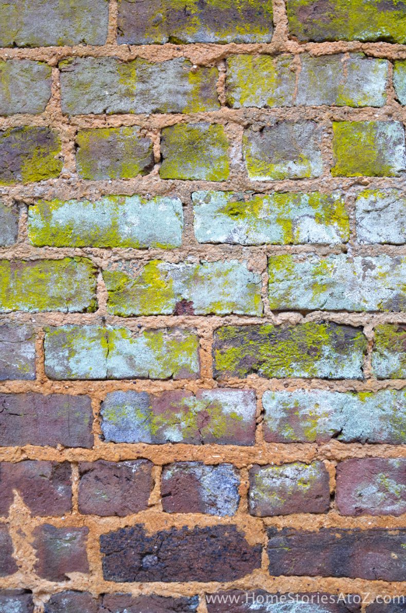Gorgeous color palette on brick wall