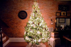 photographing tree at night