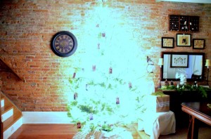 photograph christmas tree night