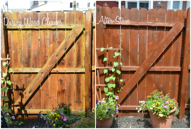 how to stain a fence before and after