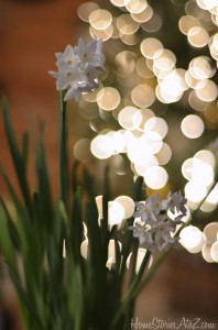 christmas bokeh