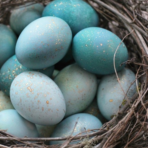 DIY Edible Robins Eggs with red cabbage dye and edible gold paint
