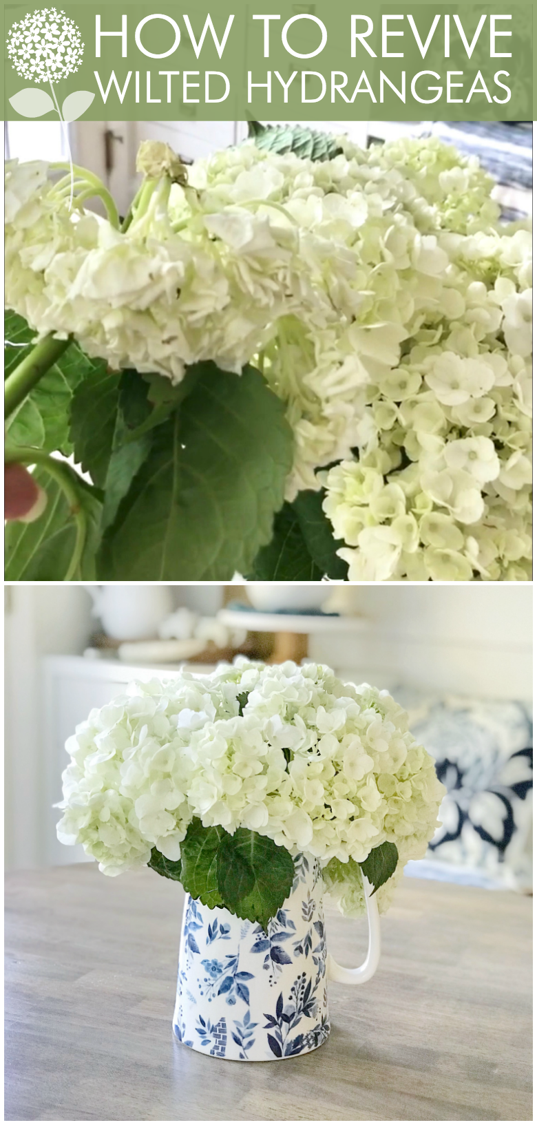 how to revive wilted hydrangeas