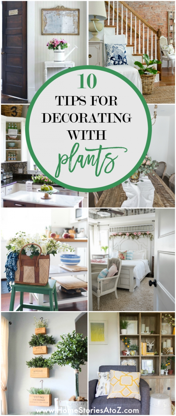 Tips For Using Plants In Green Home Decorating preview