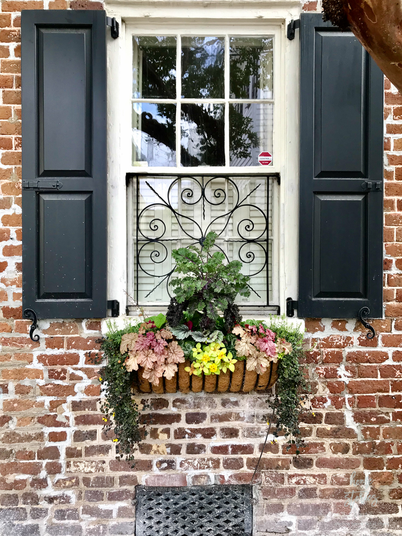 flower box ideas Charleston flower boxes
