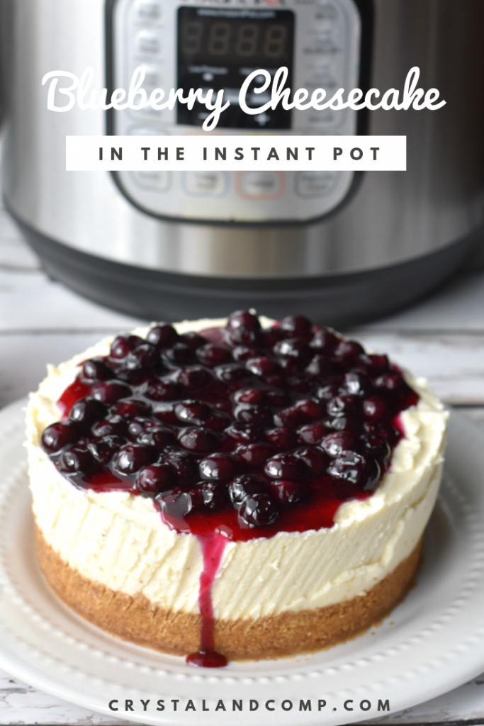 Cheesecake Recipes - Instant Pot Blueberry Cheesecake Recipe by Crystal & Co.