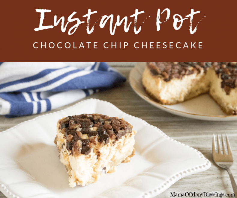 Cheesecake Recipes - Instant Pot Chocolate Chip Cheesecake with Pecans by Mama of Many Blessings