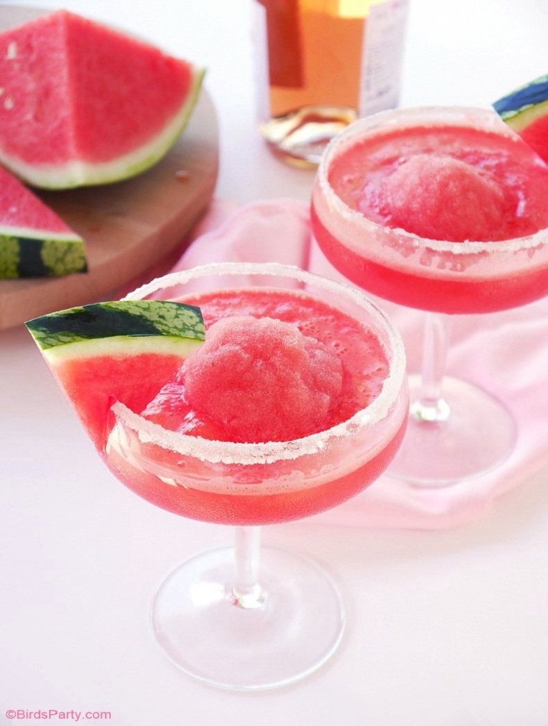 80+ Best Summer Recipes - Watermelon Rose Granita Cocktail by Bird's Party