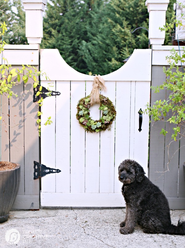 Summer Wreath Ideas - DIY Live Succulent Wreath by Today's Creative Life