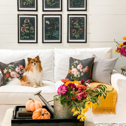 35+ Fall Living Room Decorating Ideas