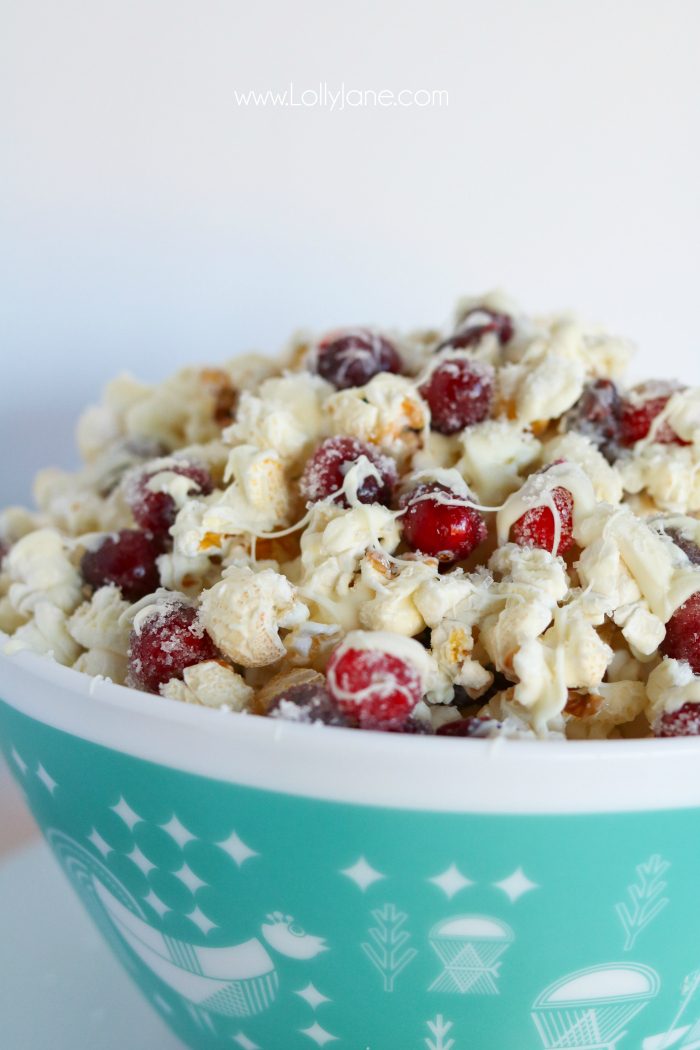 Cranberry Recipes - White Chocolate Cranberry Popcorn Recipe by Lolly Jane
