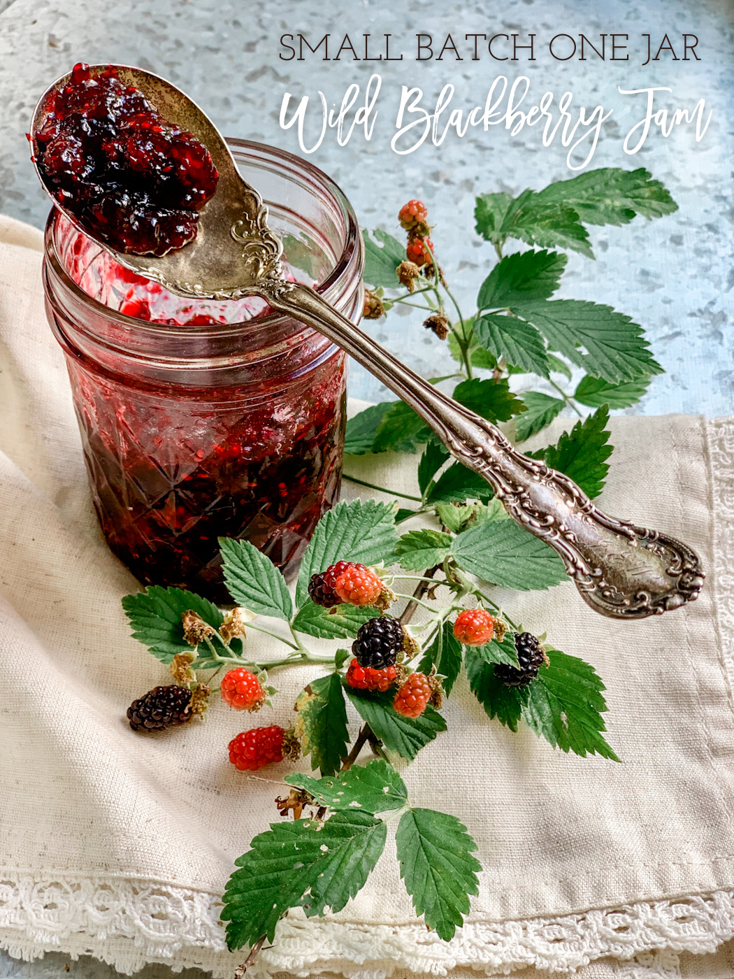 one jar wild backberry jam recipe