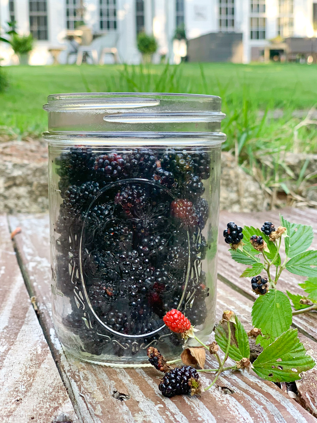 Easy Small Batch One Jar Wild Blackberry Jam Recipe
