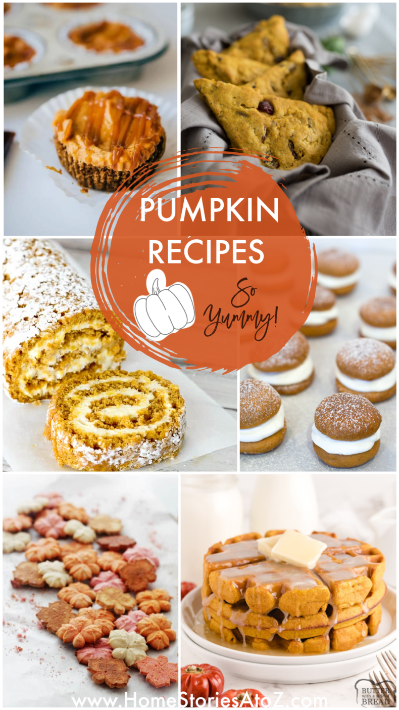 Pumpkin Recipes - Pumpkin Recipes for the Fall Season