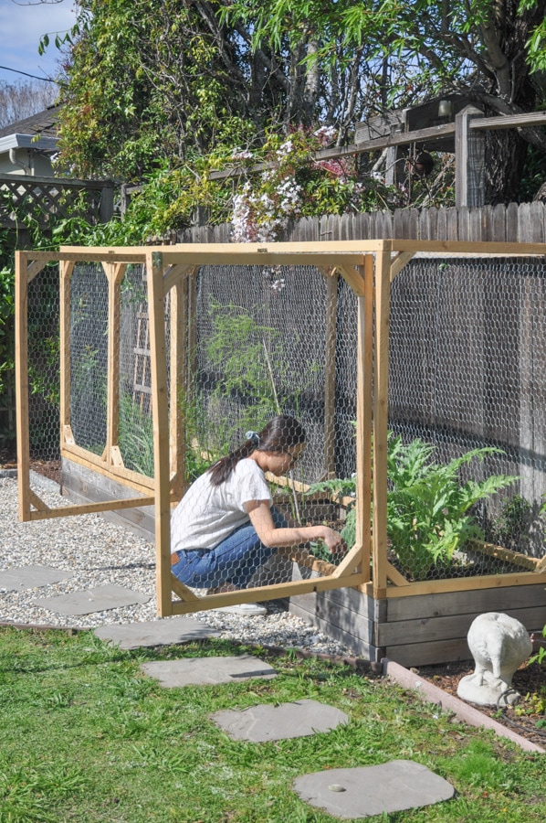 Raised Bed Backyard Garden Ideas - DIY Garden Bed by Hydrangea Treehouse